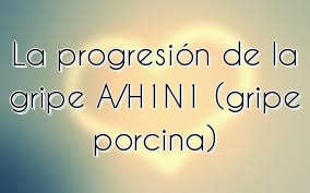 La progresión de la gripe A/H1N1 (gripe porcina)